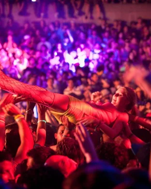 Steve Aoki